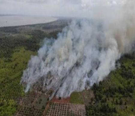 Ilustrasi hotspot atau titik panas membludak di Riau sore ini (foto/int)